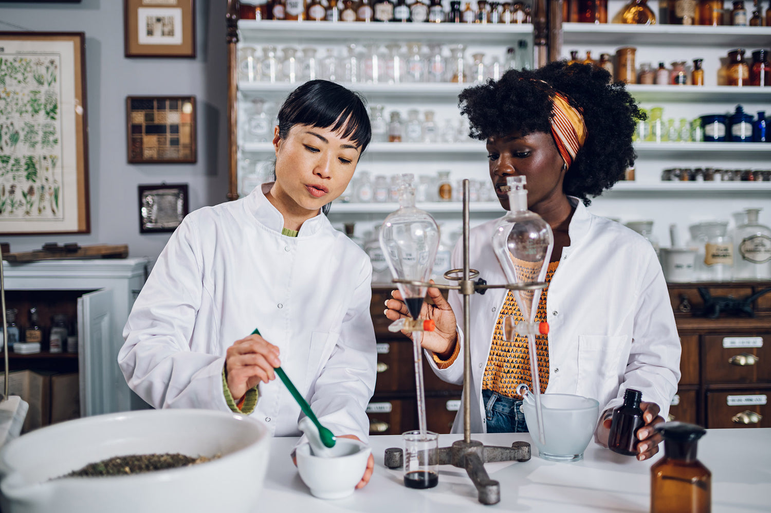 The Science of CBD: How CBD Works Within the Human Body