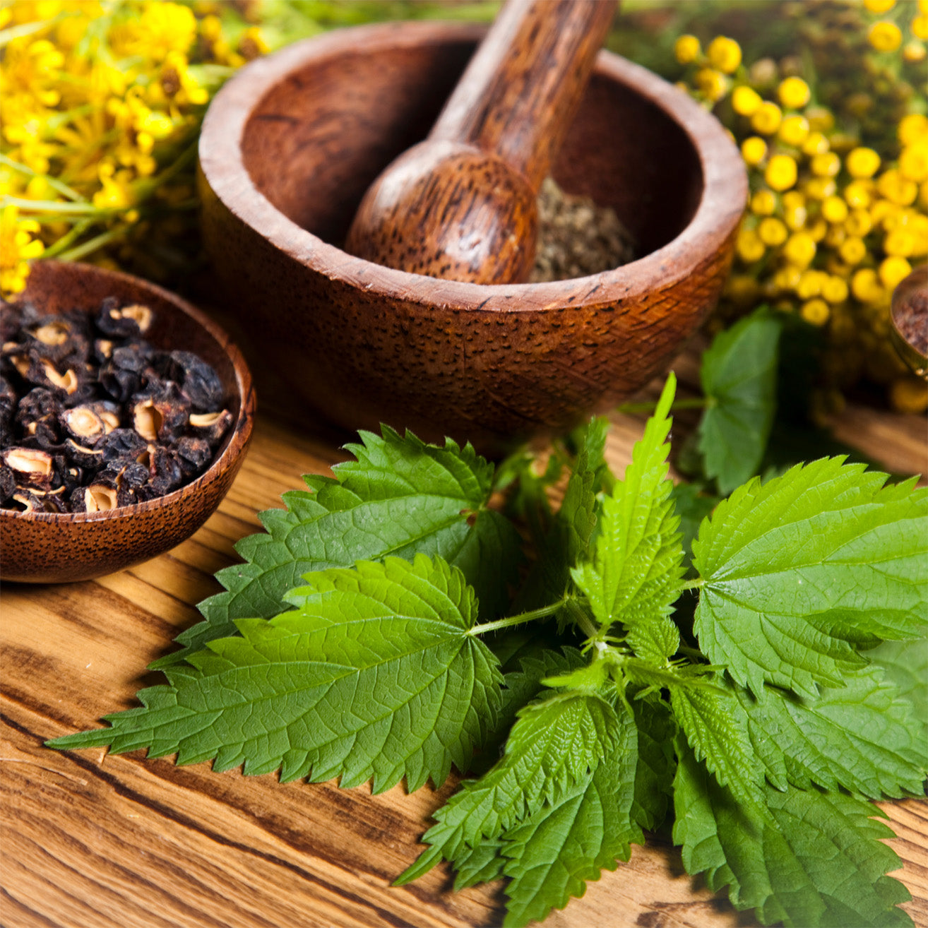 A wooden mortar and pestle sit on a table with various herbs often used in herbal remedies.