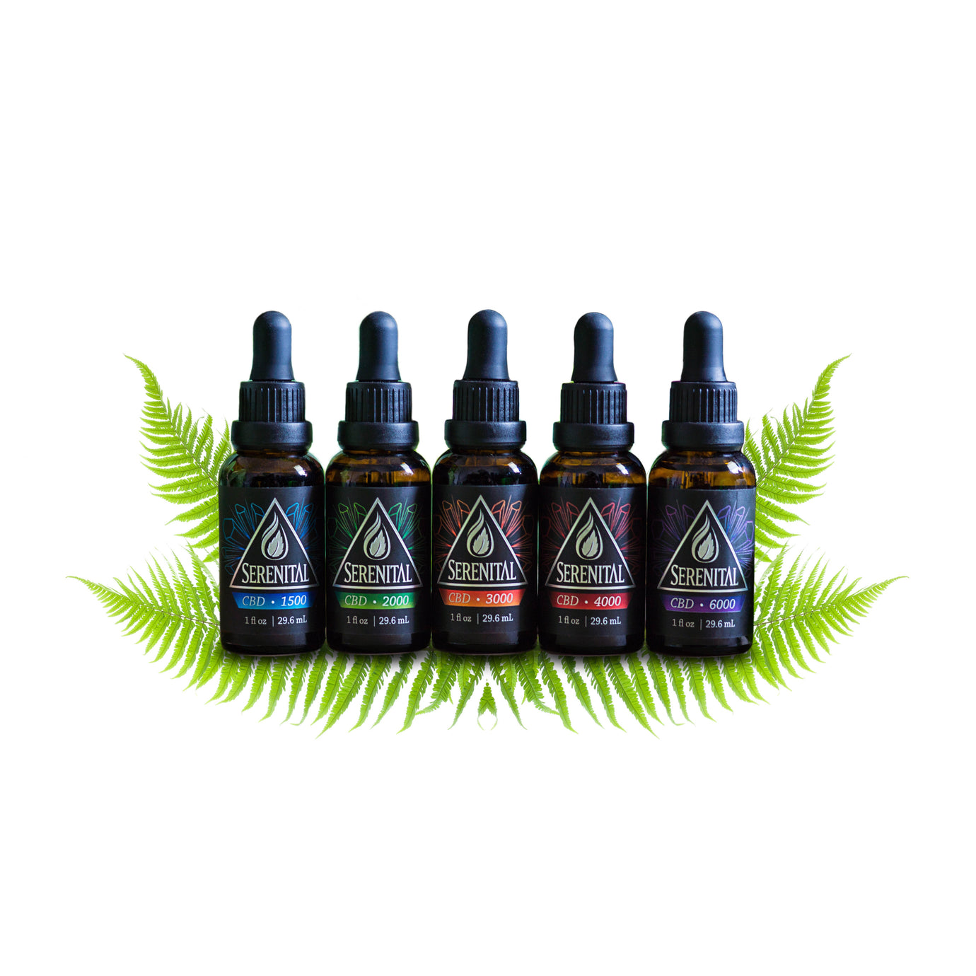 Serenital CBD oils lined up with green fern leaves in the background. Serenital oils depicted are the 1500mg CBD, 2000mg CBD, 3000mg CBD, 4000mg CBD, and 6000mg CBD.